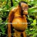 Comical Hor ny Thought Of Comical 'Hor ny Ang Moh' : 