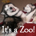Home Zookeeper : It's a Zoo in here!