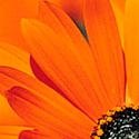 Diabetic Health For Seniors : Diabetic Health For Seniors
