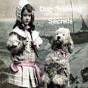 Dog Training Secrets : 