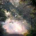 A Hint Of Poetry : Poetry and Writing Tips