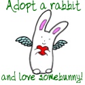 WildRescue : Adopt a rabbit and love somebunny!