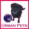 Urban Pets Dog Blog : Cause it's all about the dog!