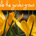 As the Garden Grows : Come see what's growing today