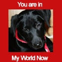 You are in My World : Every day is an adventure