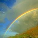 Image Impression : Amazing picture collections