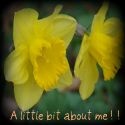 A Little Bit About Me!! : Please come visit!