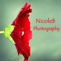 NicoleB Photography : Our travels around the Globe in pictures and stories