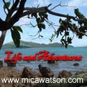 Life and Adventures : life, adventures, places, travel, friends, family, business, reviews , etc.