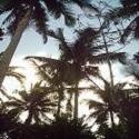 ...In the Footsteps of the Sun...  : places, nature, people, culture