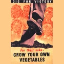 Grow Your Own Vegetables : 