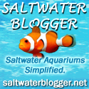 Saltwater Blogger : Saltwater Aquariums Simplified