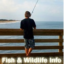 Fish and Wildlife Info : 
