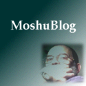 MoshuBlog : learn from a WP guru