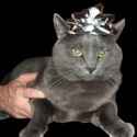 Kilroy the Love Beastie : 