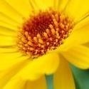 Life and Glory! : Love ,life