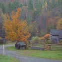 The Canine Kids : Vermont Farm