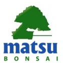 Matsu Bonsai blog : bonsai thoughts, news, and announcements 