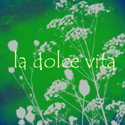 la dolce vita : blogging anything under the sun