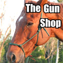 The Gun Shop : Guns!