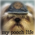 My Pooch Life : 