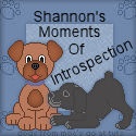 Shannon's Introspections : 