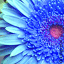 Samples~N~ Such : free samples, great sites