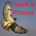 Hawksdomain's Photos : My view of the world