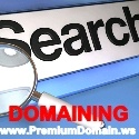 Domaining | Domain Names : Domaining is the Science of Buying and Selling Domain Names!