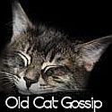 Old Cat Gossip : When cats grow old