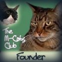 The M-Cats Club : Club for ManCats to hang out, The M-Cats Club