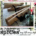 spiCes : food+style