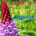 Learn Foreign Languages : Learn Foreign Languages