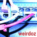 Weirdoz Networkz : tips blogging, tips money online, tips internet, tips gadget