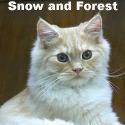 ...purrrrs.... : 