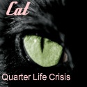 Cat : Quarter Life Crisis