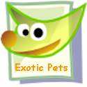 Exotic Pets : All About Exotic Pets