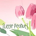 Little Peanut : our life’s treasure