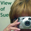 View of Sue : Reviewing television