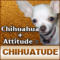 CHIHUATUDE : Got Chihuatude