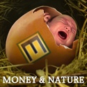 Money And Nature : Your Everyday Life