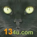 My lucky number 13 : blogging, SEO, money online, music, health