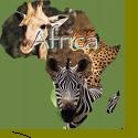 A Nairobians Perspective! : Africa,News,Safari
