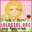LaLaGirl - Twinfinite Chaos : 2 sets of twins and I still find time to blog!