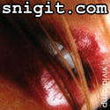 Snigit.com : Snap it, Dig it, Share it with Snigit