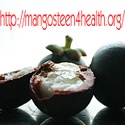 Mangosteen 4 Health : Harness The Power of The Mangosteen