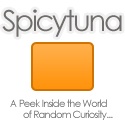 Spicytuna : A Peak Inside the World of Random Curiosity...