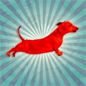 pamibe : Flying Collie, Hidden Dachshund