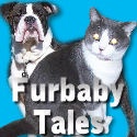 Furbaby Tales : 