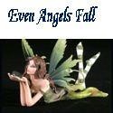 Even Angels Fall : Be careful what you read